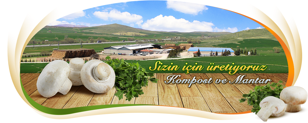 Mega Tesnim Kültür Mantarı ve Kompost